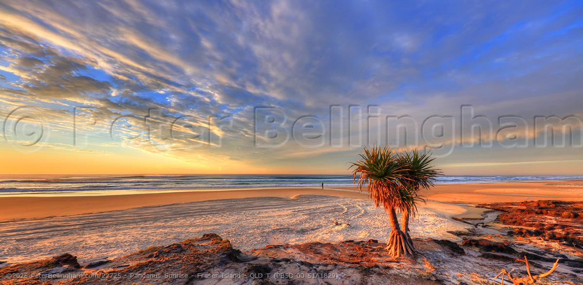 Peter Bellingham Photography Pandanus Sunrise - Fraser Island - QLD T (PB5D 00 51A1829)